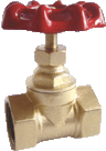 photogragh of forging globe valve